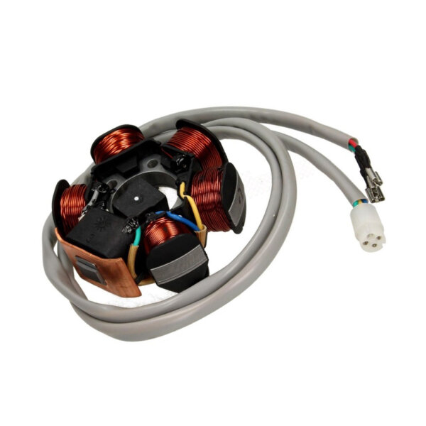 Lichtmaschine Stator für Gilera Runner / Stalker / Storm / Easy Moving 50