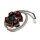 Lichtmaschine Stator für Piaggio NTT / Quartz / SKR / Storm