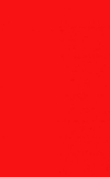 Startnummernuntergrund rot 100 x 35 cm