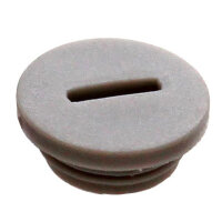 Ölkontrollschraube für Sachs Motoren 506 50...