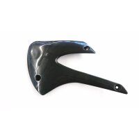 Kühlerverkleidung für Kawasaki KX 85 Bj 98-13...
