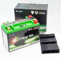SKYRICH Batterie Lithium-Ion LiFePO...