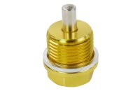 Ölablassschraube für BMW/Yamaha/Husqvarna/Cagiva Magnet gold M20x15