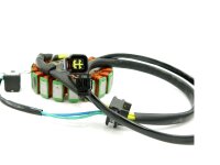 Lichtmaschine für Harley Davidson 883 N Sportster...