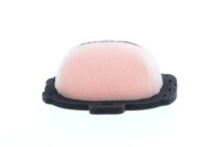 Twin Air Luftfilter für Honda CRF 250R/450R