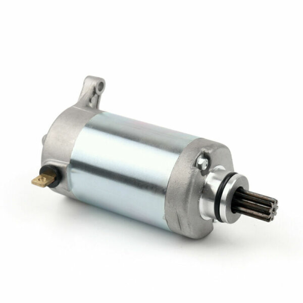 Anlasser für Keeway Cruiser & Landcruiser & Supershadow 250 (2006-11)