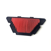 Luftfilter für Yamaha 600 XJ 6 S Diversion Bj.09-20