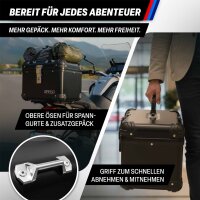 Topcase für Govecs GO C1.4 electric 35 Liter Black Aluminium-Design