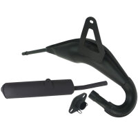 Auspuff Giannelli für Yamaha DT80 LC2 85-01 LC II...
