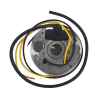 Zündung passend für Zündapp 442 446 447 6V...