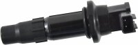 Zündspule für Yamaha YZF-250R 04-09 Honda...