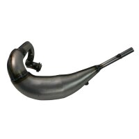 Auspuff Krümmer Giannelli für Yamaha TDR 125 98-01