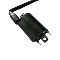 Zündspule für Ducati Aprillia Gilera Cagiva 12V...