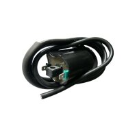 Zündspule für Ducati Aprillia Gilera Cagiva 12V...