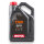 MOTUL 7100 20W-50 4Liter 4Takt speziell für BMW/Ducati/Harley
