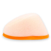 Twin Air Luftfilter für Kawasaki KX 250F/450F