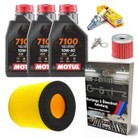 Kundendienstset für Suzuki LTZ Kawasaki KFX Arctic...