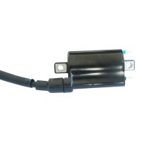 Zündspule 12V 4,0 Ohm Ducati Moto Guzzi Suzuki...