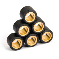 Variator Rollen Set 13g Aeon Cobra RS180, Overland 180, E-Ton Yukon 150