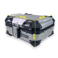 Alukofferset & Träger Silber für BMW G 310 R 22+2x46L Top & Seitenkoffer Cutout