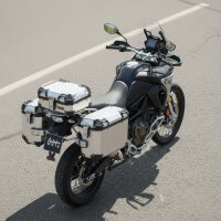 Kofferset & Träger für Suzuki DL 800...