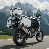 Alukoffersystem Silber für KTM 790 Adventure 45L...