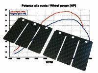 Membrane Tuning Stage 2 Carbon für Yamaha DT 125 R /...